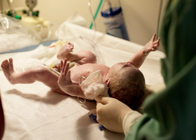 DSC_1746-2626634415-O