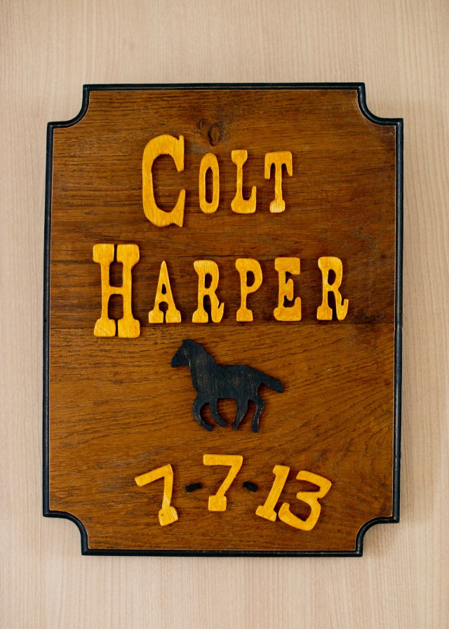 DSC_2220-2623493778-O