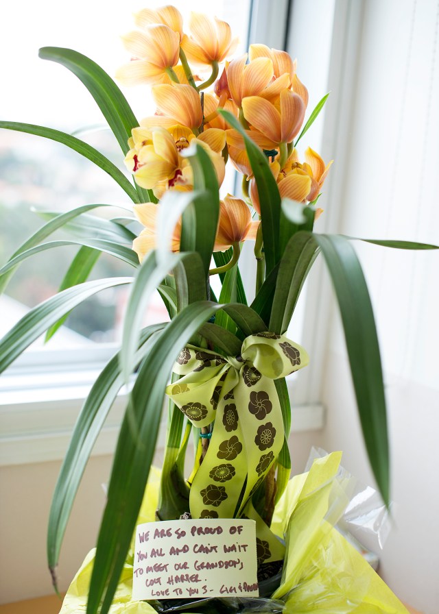 Beautiful flowers sent from Gigi Zais!