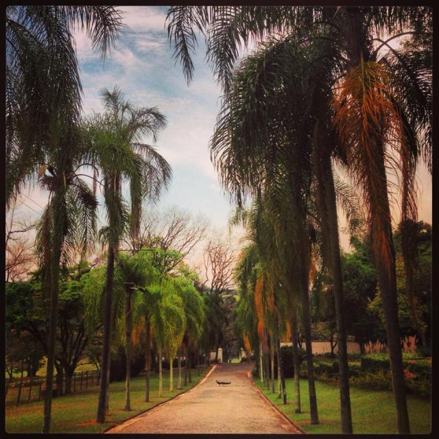 1240661_10151922911839882_896436008_n