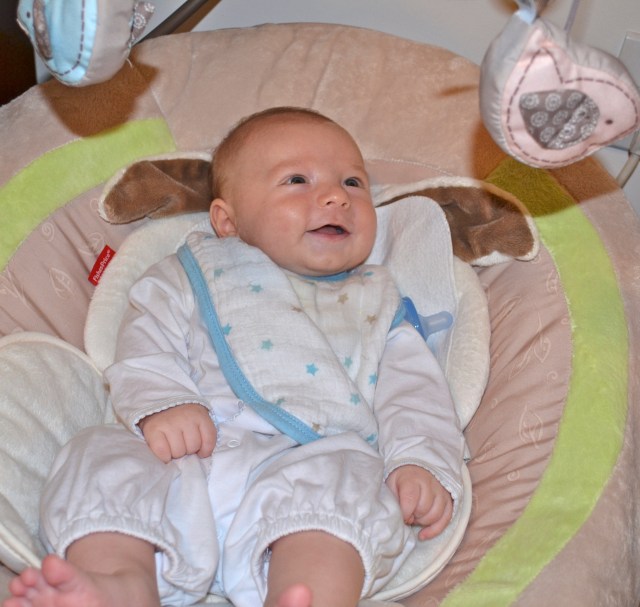 Meet Colt's good friend, the bird!