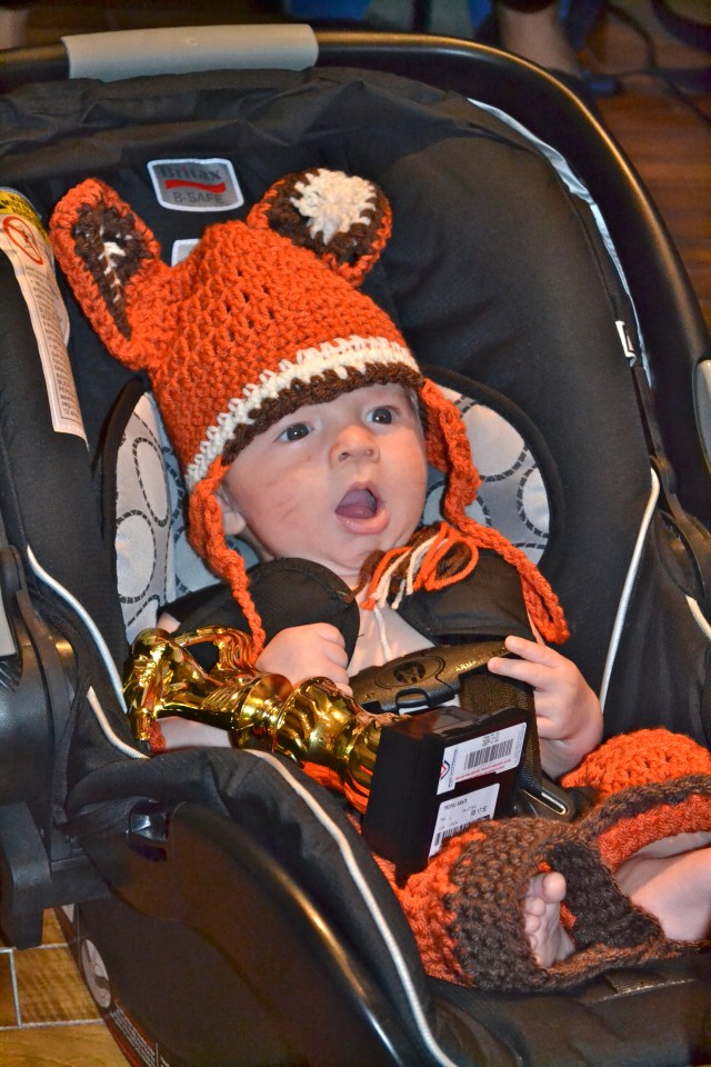 Our little fox - all tuckered out.