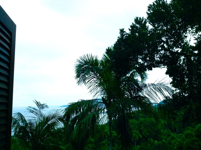 View from our bedroom.