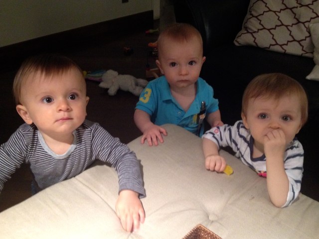 Pals! Jack, Colt & Mailey