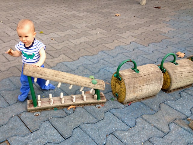 Two little alligators