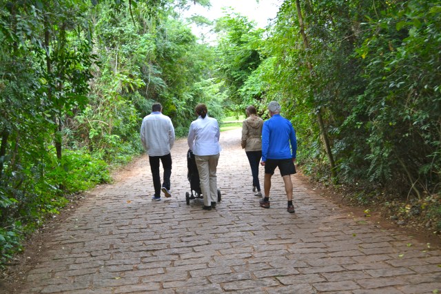 Another day, another stroll!