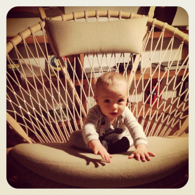 The frog prince on his throne.