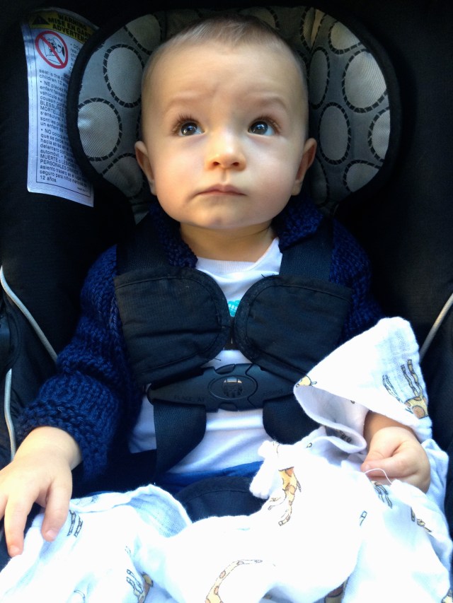 Sweet Colt, an amazing traveler and great sport during all of the chaos.