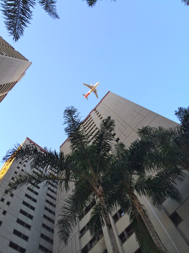 Planes fly over our apartment buildings all the time and my mom taught him to point them all out!