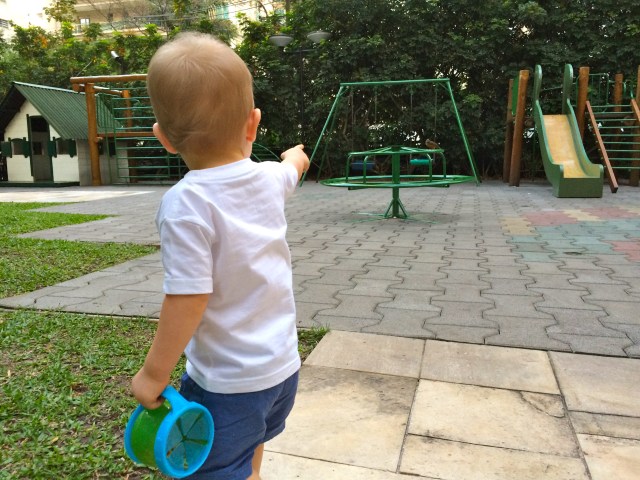 Gigi also taught Colt to point out all the birds!