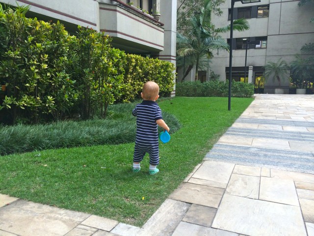 Wandering in the grass.