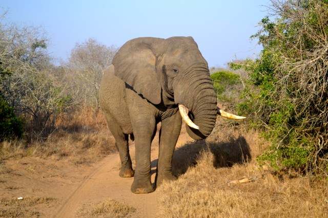 Veering off the road, thankfully!