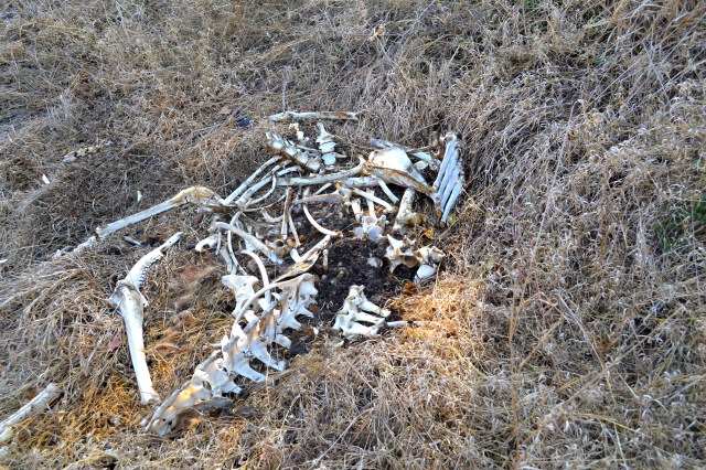 Just nature running its course.