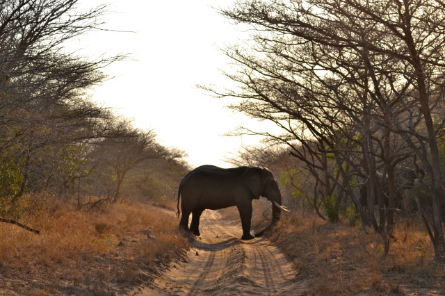 And this one was just such a cool shot.