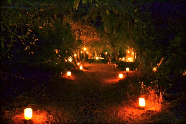 Arriving at our dinner in the bush.