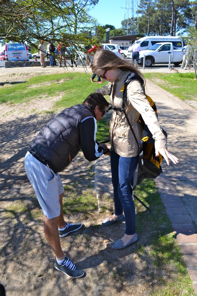 Getting ready to jump!