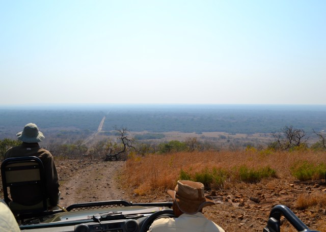 Incredibly beautiful property. And can you spot the zebra!?