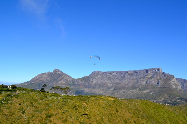 Table Mountain in the background.