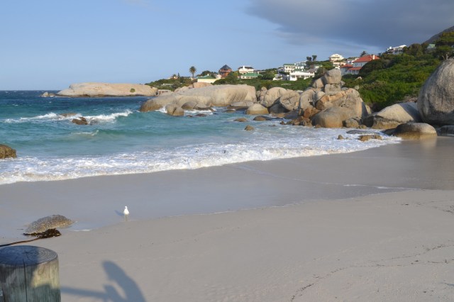 The penguins had it pretty good.