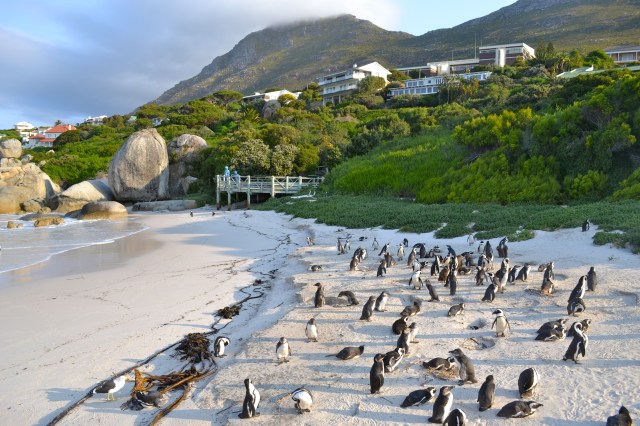 In and out of the water.