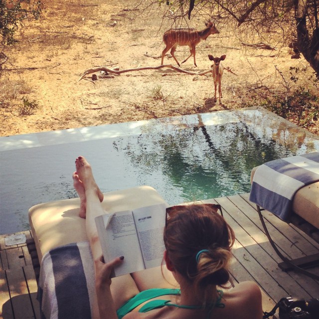 Just reading by the pool.
