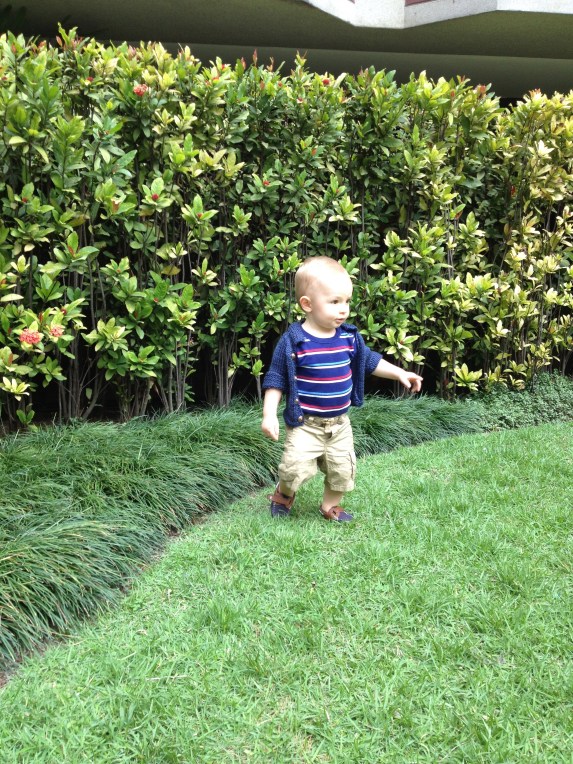 Exploring around the complex!