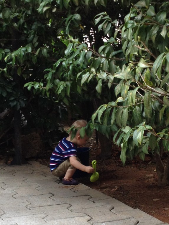 Digging in the dirt.