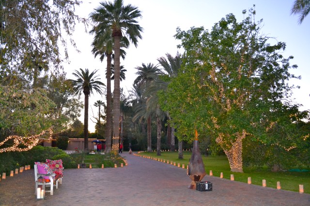 The view down the driveway of the luminaries and trees all lit up and the chiminea firing!