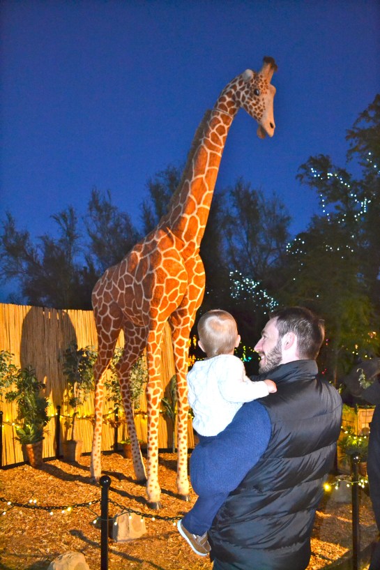Colt was mesmerized by the talking giraffe.