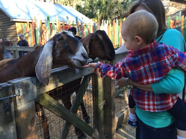 Colt seriously could not get enough of it.