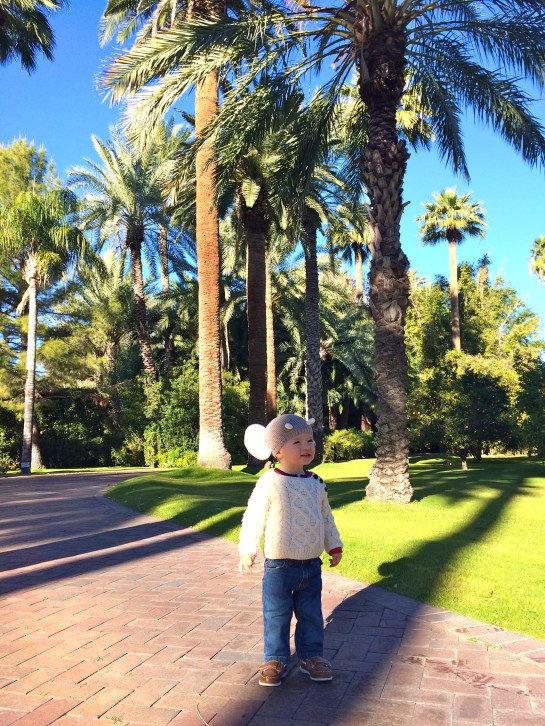 Loving the Arizona sunshine.