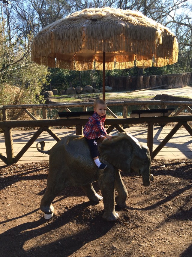 Riding the elephant.