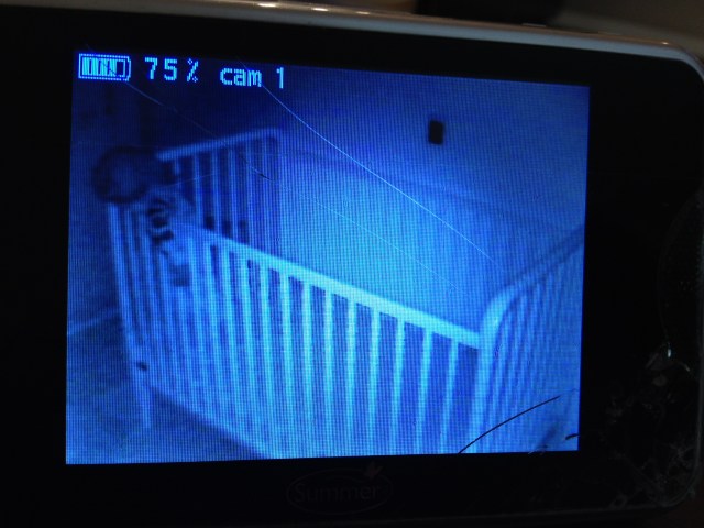 Passed out standing up. Poor guy. Don't worry, he laid down after about 5 minutes like this.