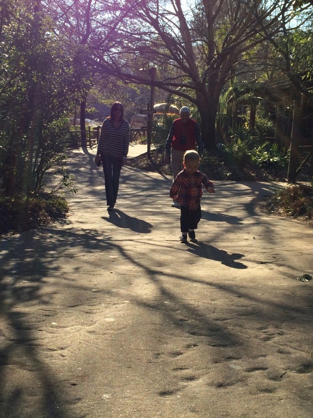 Running free through the zoo.