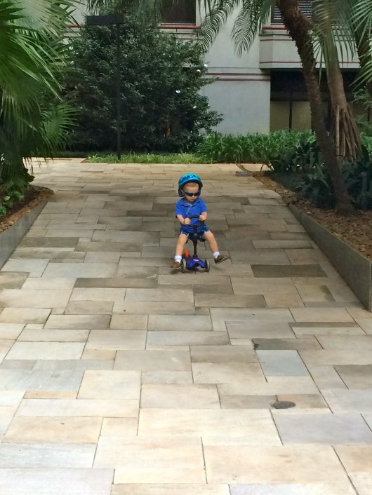 Loving the ramps throughout the complex.