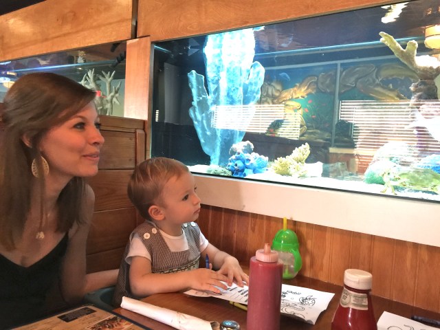 Going out to dinner with toddlers is much easier when you're sitting right by a big fish tank!
