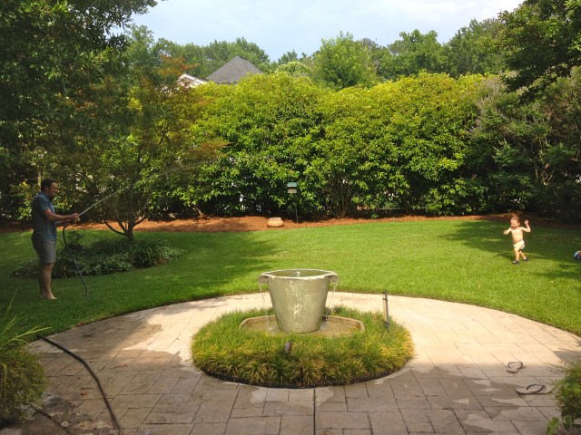 Hose in the backyard.