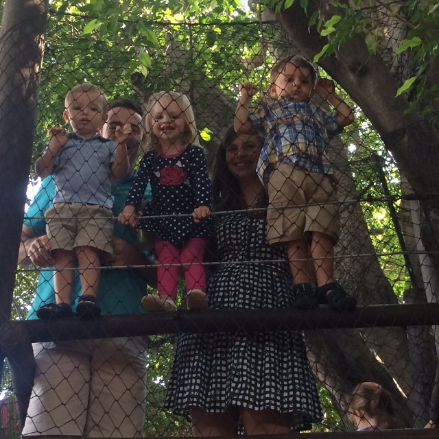 And exploring the tree house they have there!