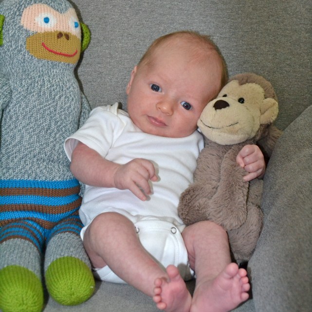 Happy 1 Month, Finn!