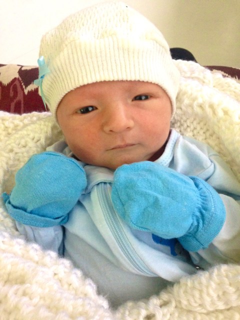 Looking ready to box!