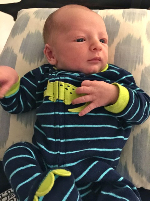 Kind of has the balding-old-man hairstyle.