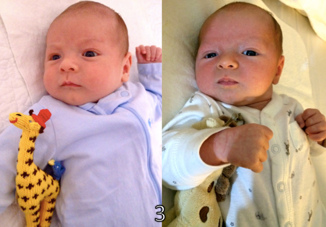 Screen Shot 2015-09-30 at 2.51.15 PM