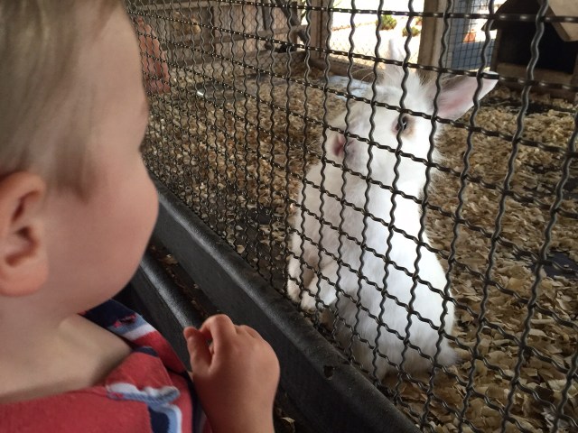 Sizing each other up.