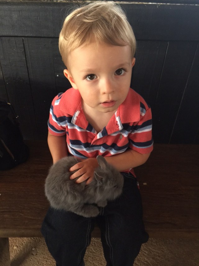 "Colt hold NumNum. Nice soft NumNum."