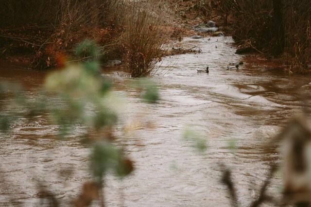 59_Sharon-Harpers-Birthday-Extravaganza